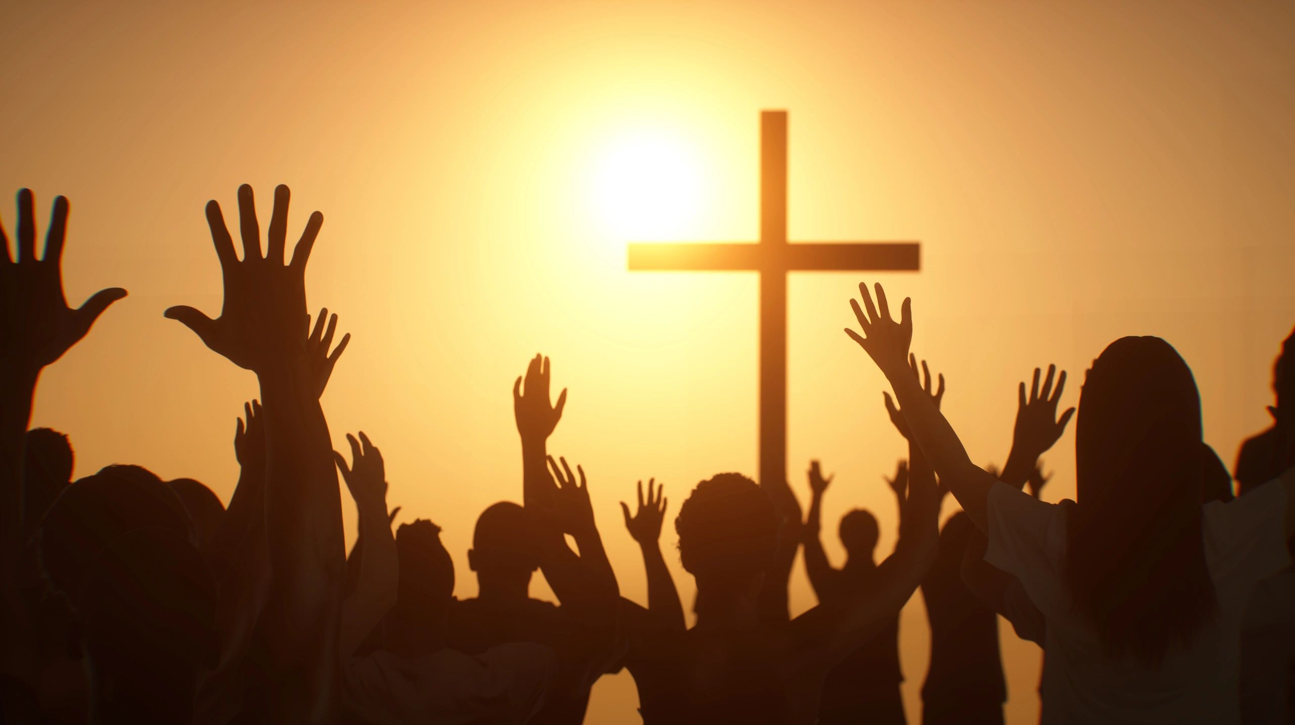 Human crowd forming a cross shape on white